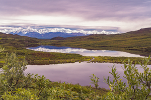 Denali Highway Evening