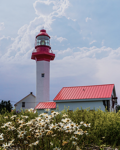 Metis lighthouse Flowers