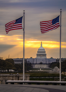 Capitol Flags
