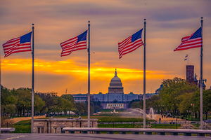 Capitol Flags