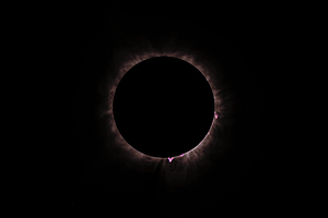 2024 Eclipse Prominances
