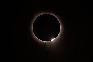 Diamon Ring Prominance