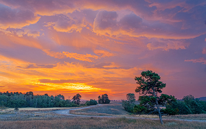 Montana Sunrise