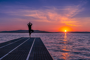 Tree Pose Sunset