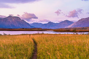 Waterton Lakes Trail