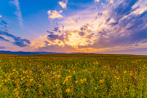 Montana Sunset