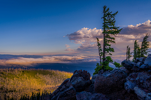 Mount Hood Evening