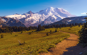 Sunrise Rainier