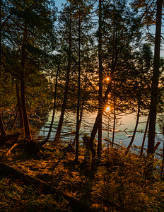 Moose Head Sunset