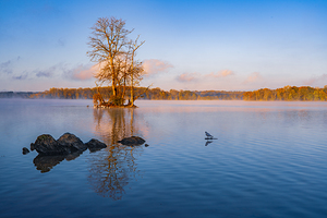 Loch Raven Morning 