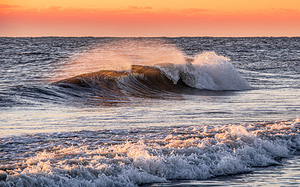 Assateague Wave