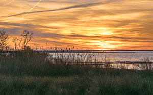 Assateague Sunset