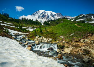 Summer Rainier