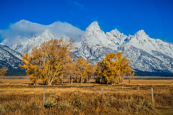 Fall Tetons Print