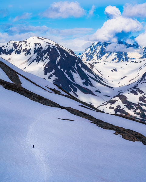 Exit Glacier Hike Print