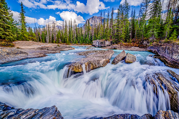 Water Water Water Fall Print