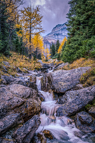 Larch Valley Waterfall Print