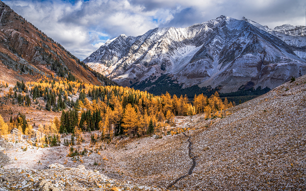 Pocaterra Cirque