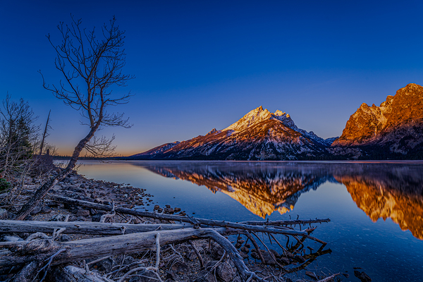 Grand Teaton Reflection Print