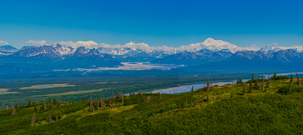 Denali State Park Panorama
