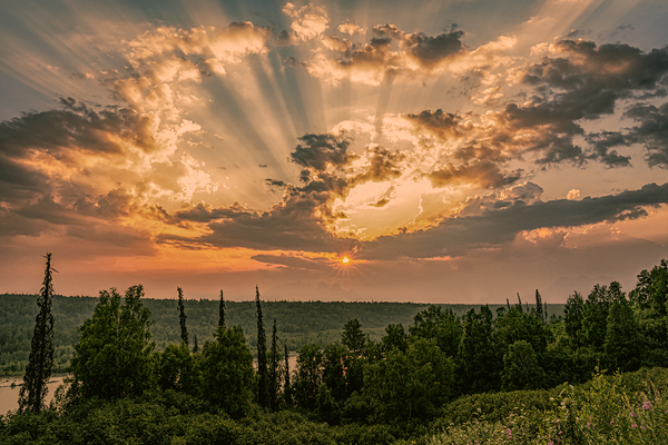 Denali Sunset