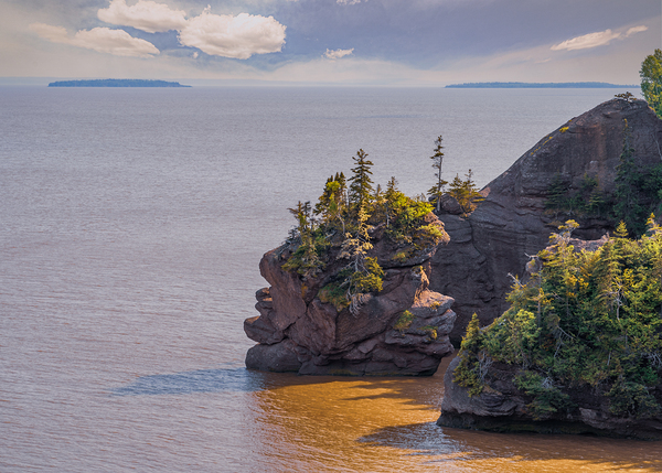 Hopewell Rocks Shoreline Print