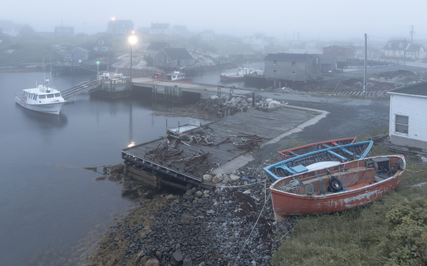 Foggy Cove