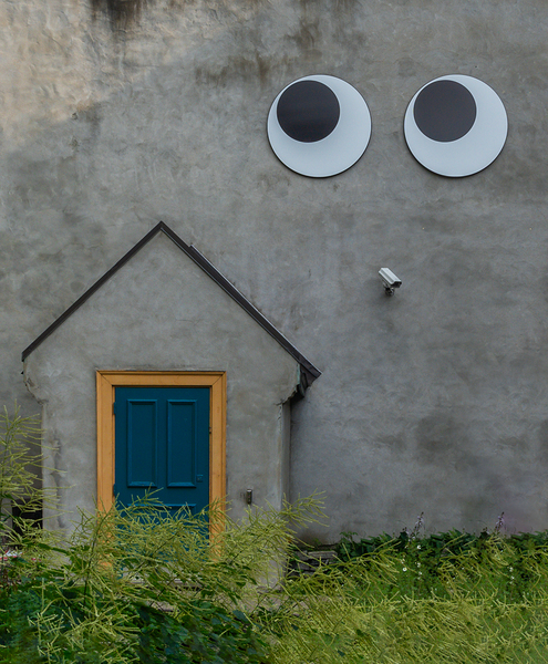 Quebec Google Eyes by Geoffrey Prior