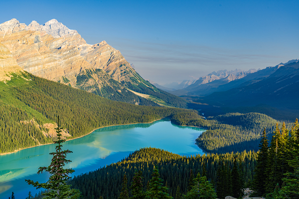 Peyto Lake View Print