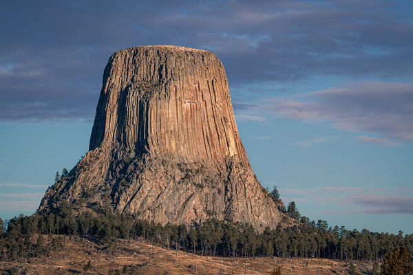 Majestic Tower