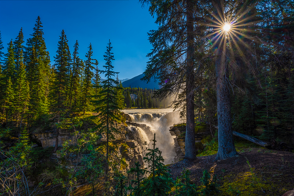 Athabaska Falls by Geoffrey Prior