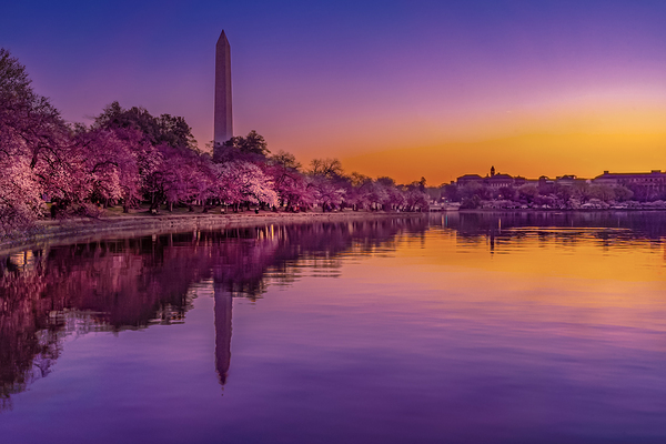 Tide Pool Colors Print