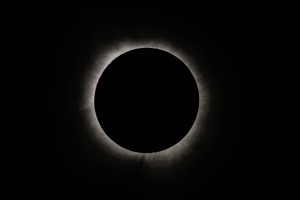 2024 Eclipse Corona