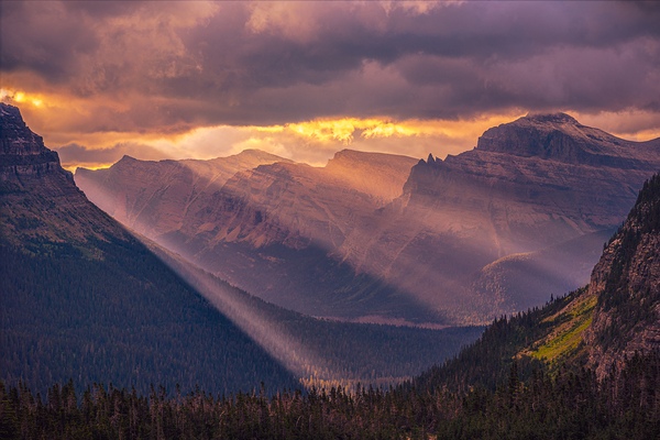Logan Pass Weather