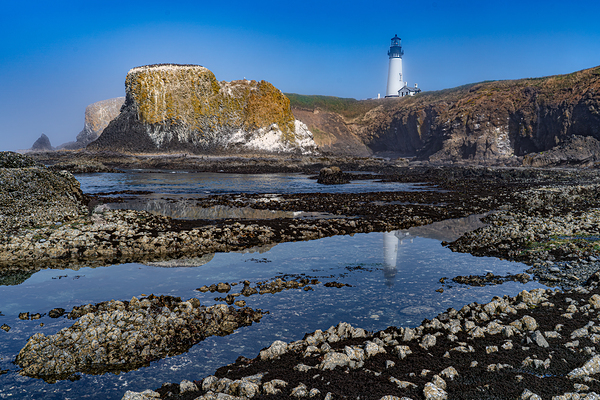 Yaquina Head Morning