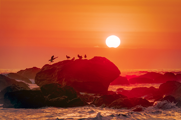 California Sunset Print