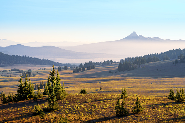 Mt Thiesen View