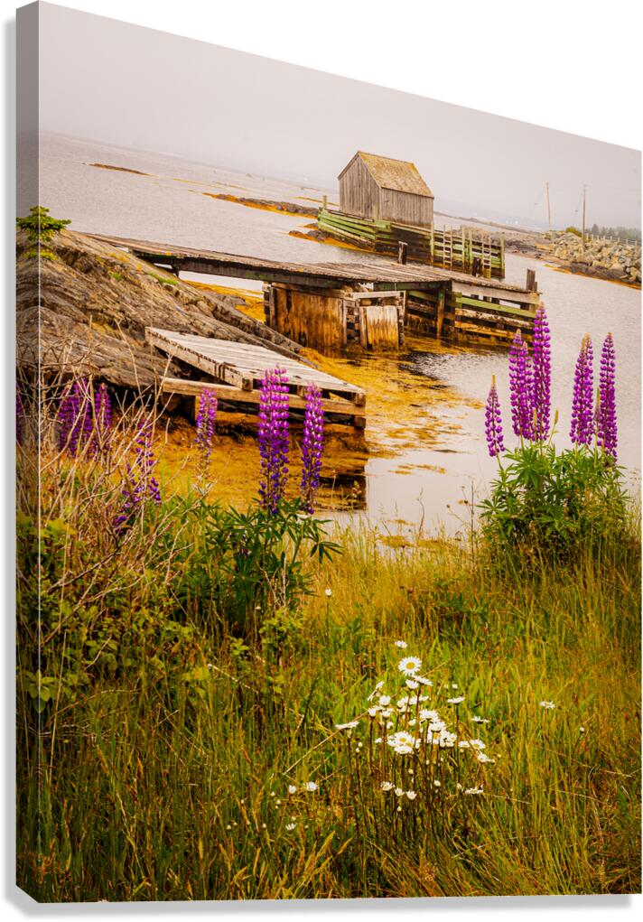 Blue Rocks Boat House Canvas Print