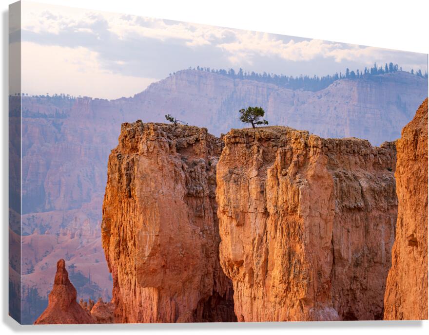 Bryce  Canvas Print