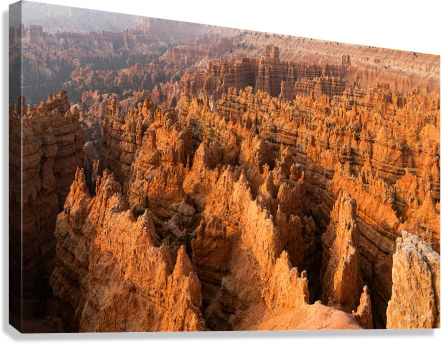 Bryce Hodos Canvas Print