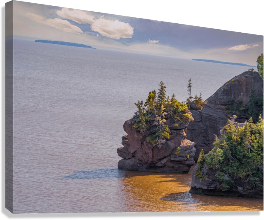 Hopewell Rocks Shoreline Canvas Print