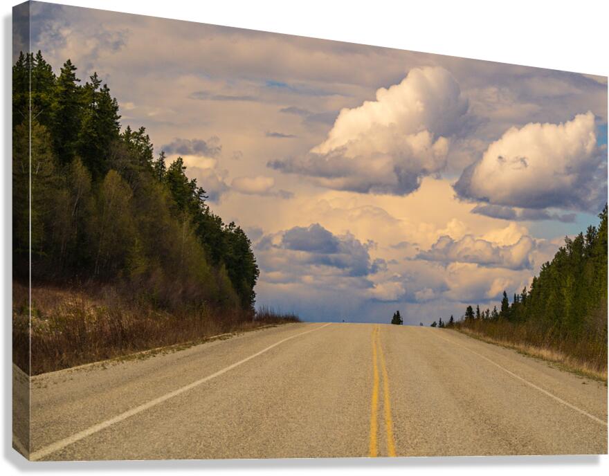 Road Ahead Canvas Print