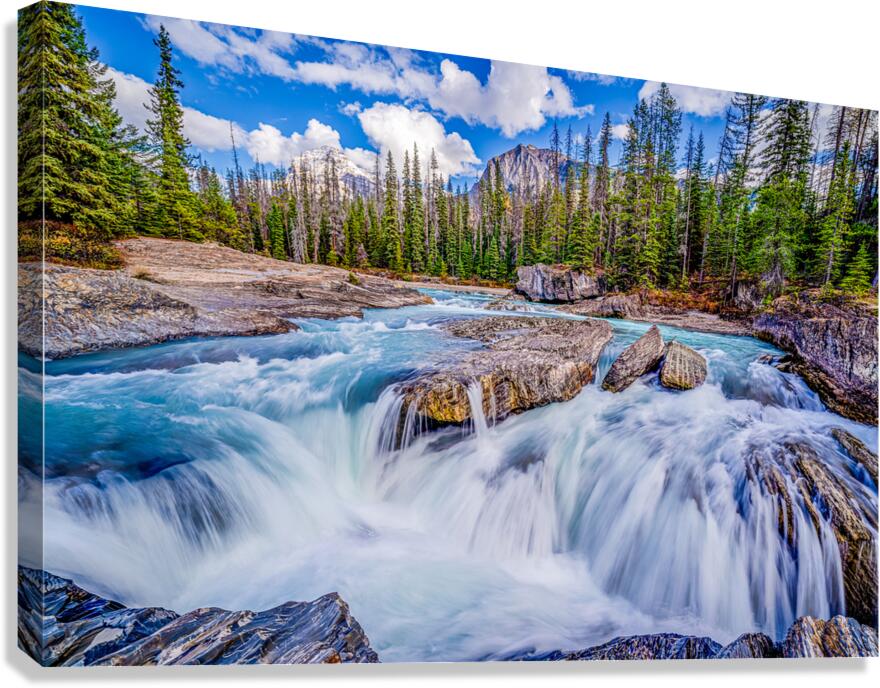 Water Water Water Fall Canvas Print