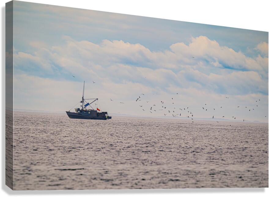Fisherman Flock Canvas Print