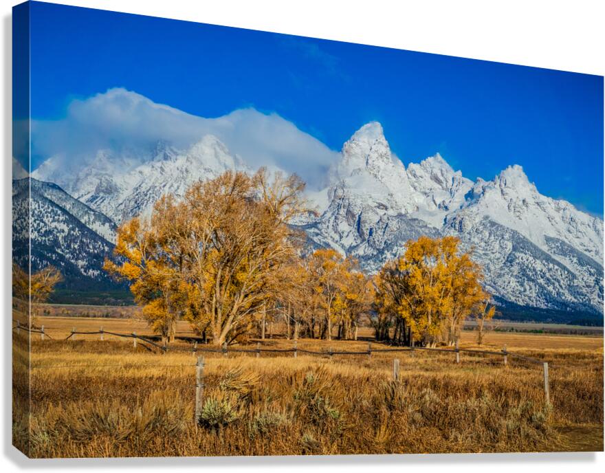 Fall Tetons Canvas Print