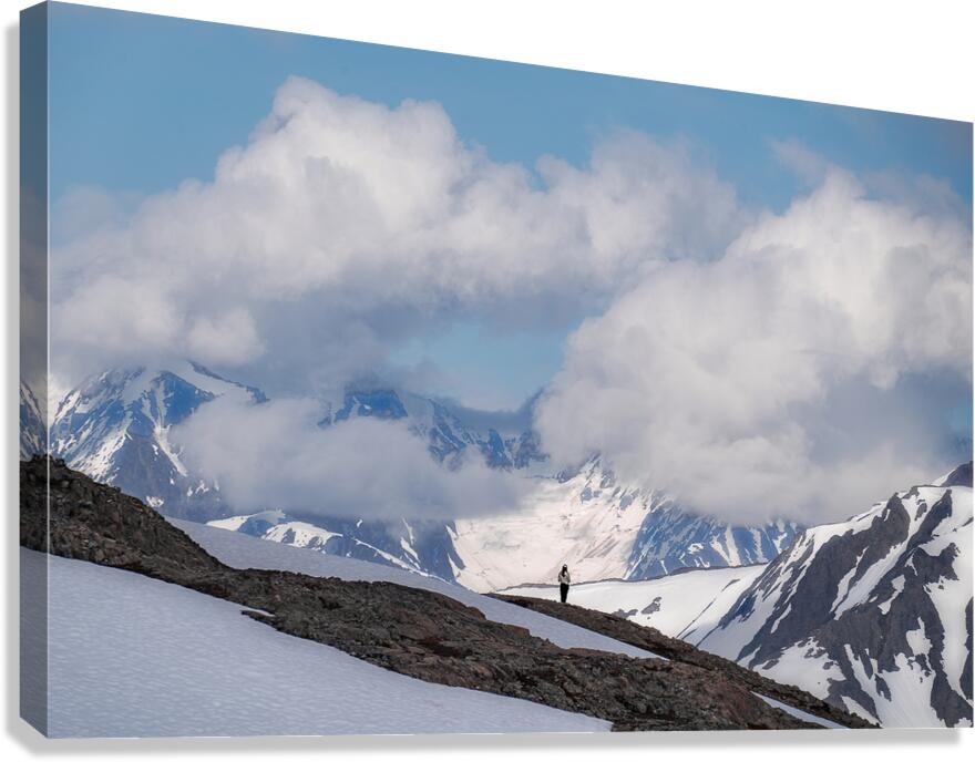 Kenai View Canvas Print