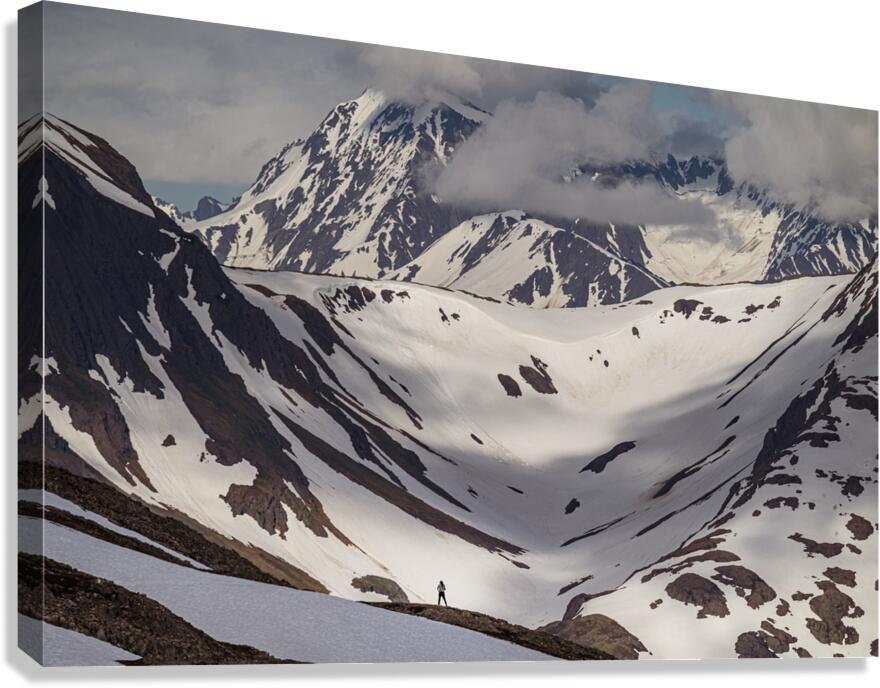 Majestic View Canvas Print