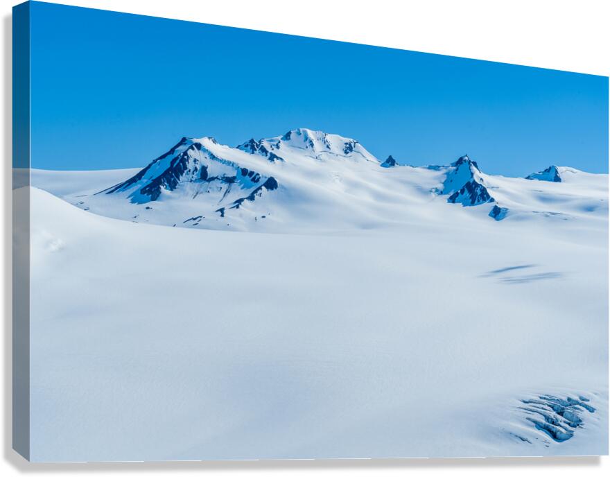 Icefield View Canvas Print