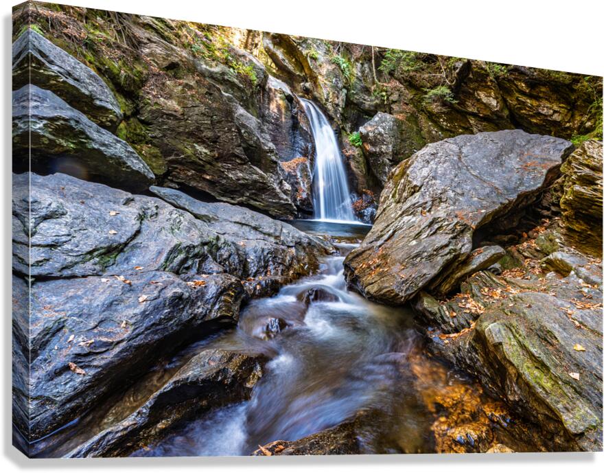 Forest Waterfalls Mossy Rock Dance Canvas Print