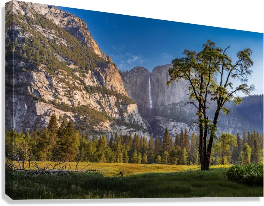 Yosemite Falls Morning  Canvas Print
